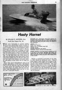 tn.Hornet1.jpg