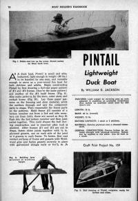 tn.Pintail_1.jpg