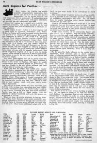 tn.Panther.11.jpg