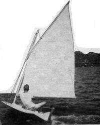 tn.SeaFlea.jpg