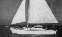 tn.Star-Lite_a.jpg