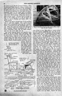 tn.Sea_Lark_5.jpg